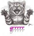 chat